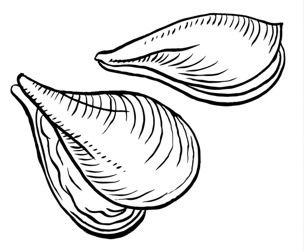 生食海产品牡蛎 — 图库矢量图片
