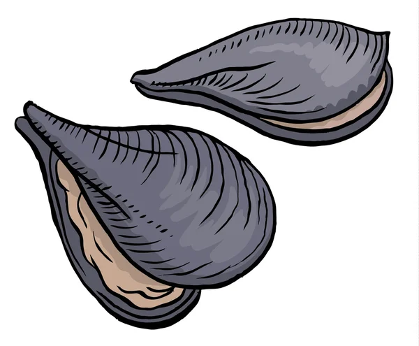 Morze surowe ostrygi — Wektor stockowy
