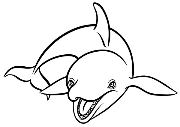 cartoon killer whale