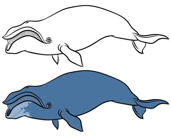 Ballenas dibujadas a mano — Vector de stock