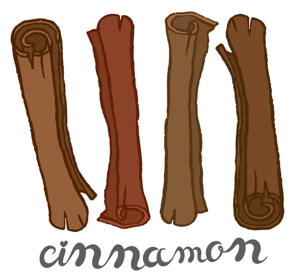 Brown cinnamon sticks — Stock Vector