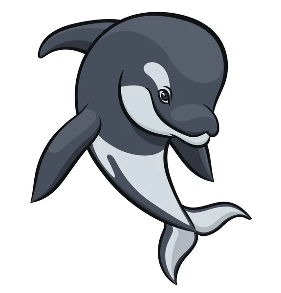 Grey killer whale — Stock Vector