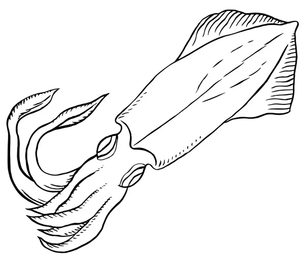 Großer Karikatur-Tintenfisch — Stockvektor