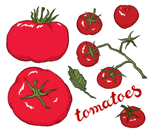 Tomaten von Hand zeichnen — Stockvektor