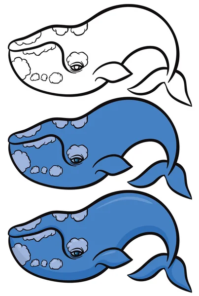 Ballenas dibujadas a mano — Vector de stock