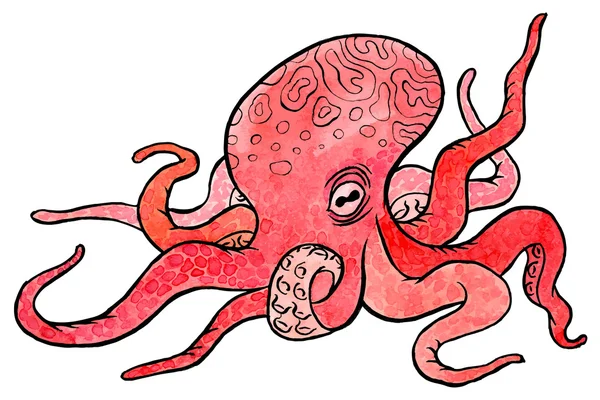 Watercolor red octopus — Stock Vector