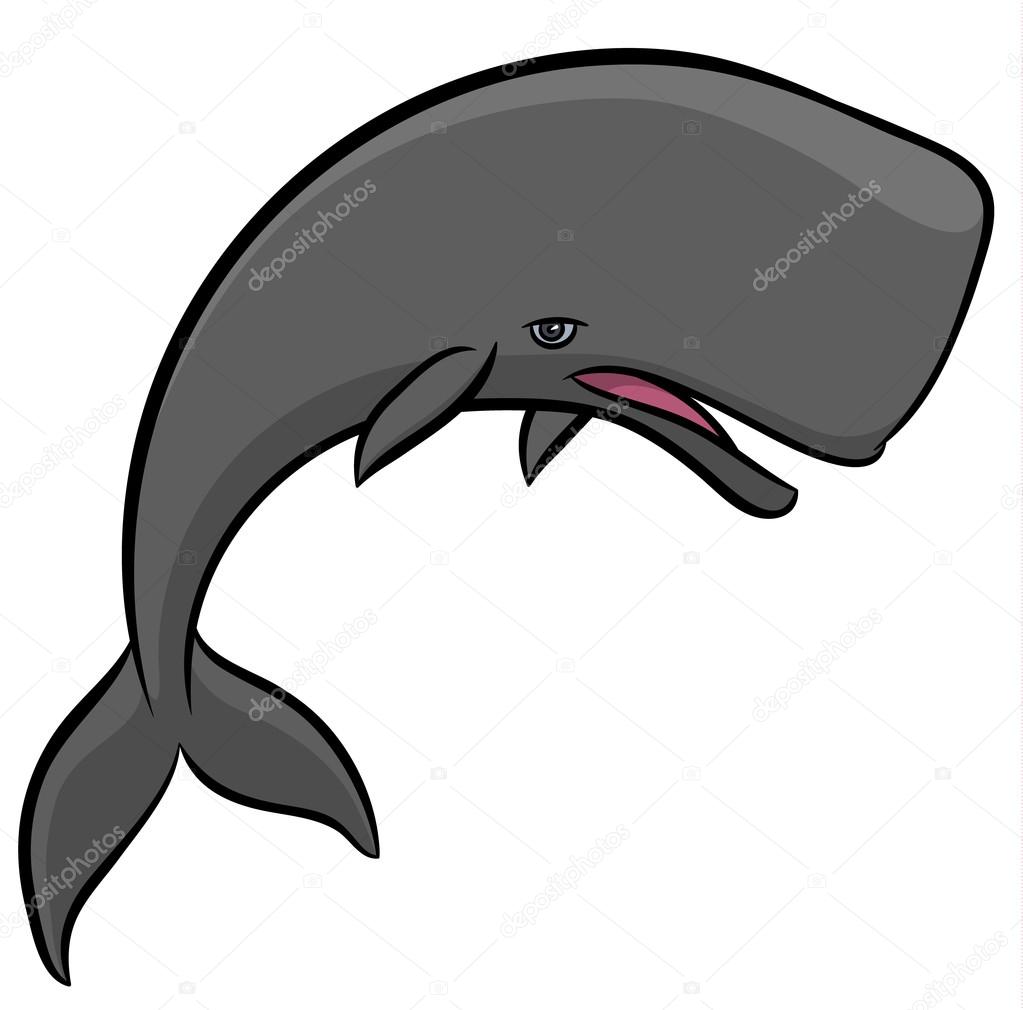 cartoon  Sperm whale