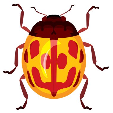 Parlak renkli lekeli böceği