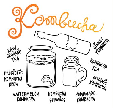 Kombucha veya Hongo içecek sistemi