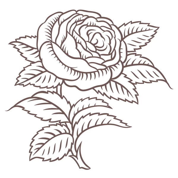 Розовая роза в классическом стиле — стоковый вектор