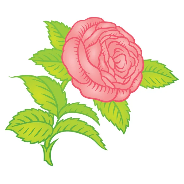 Retro pink rose in classic style — Stock Vector
