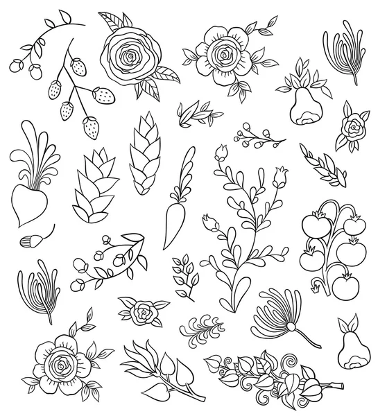 Large floral  set — Stock Vector