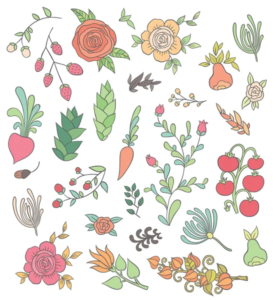 Large floral  set — Stock Vector