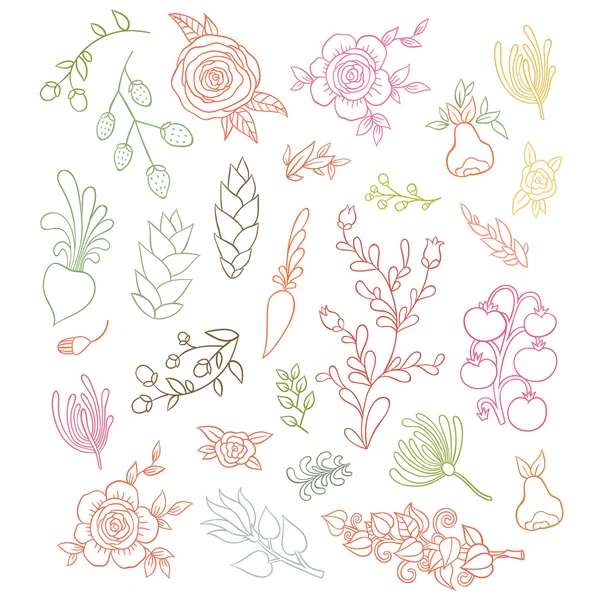 Large floral  set — Stock Vector