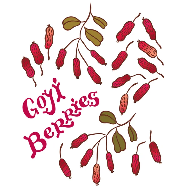 Superfood goji berries — Stock Vector