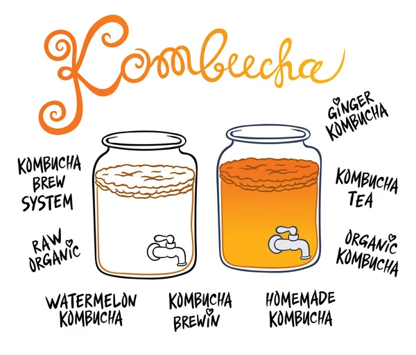 Kombucha içecek sistemi — Stok Vektör