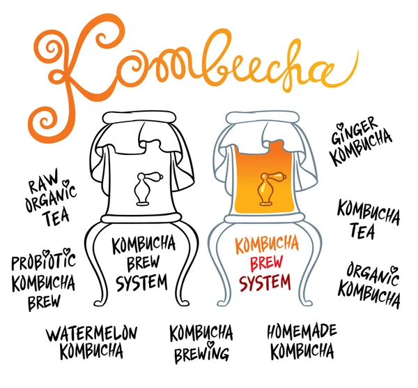 Kombucha nápoj systém — Stockový vektor