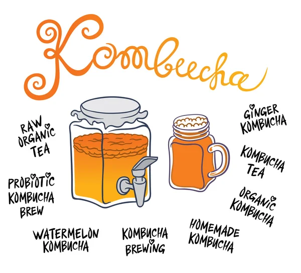 Kombucha 음료 시스템 — 스톡 벡터