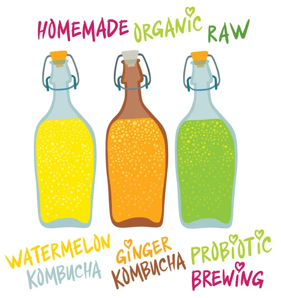 Kombucha em diferentes garrafas de vidro —  Vetores de Stock