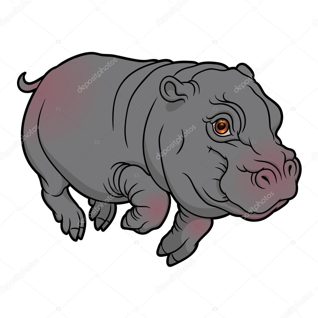 cute naturalistic Hippopotamus