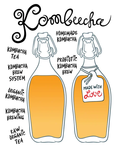 Kombucha eller Hongo i glasflaskor — Stock vektor