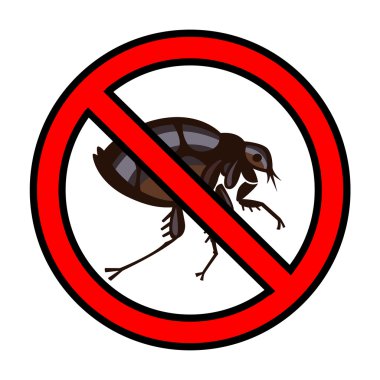 pire ev Böcek parazit illüstrasyon