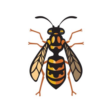 Arı arı Hornet illüstrasyon