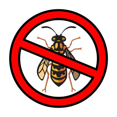 Arı arı Hornet illüstrasyon
