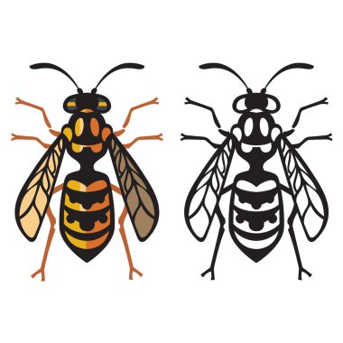Arı arı Hornet illüstrasyon