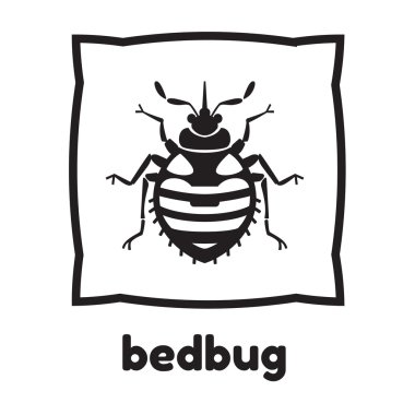 Home bedbug illustration clipart