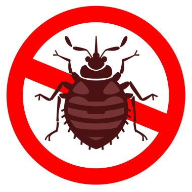 Home bedbug illustration clipart