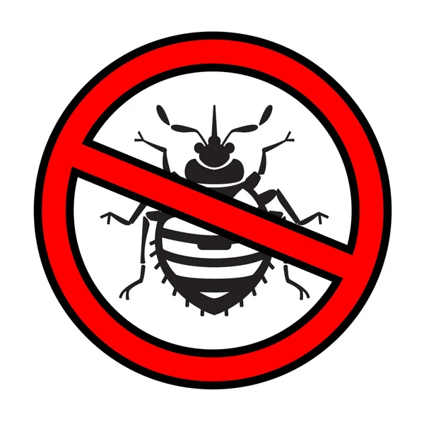 Ilustrasi bedbug di rumah - Stok Vektor