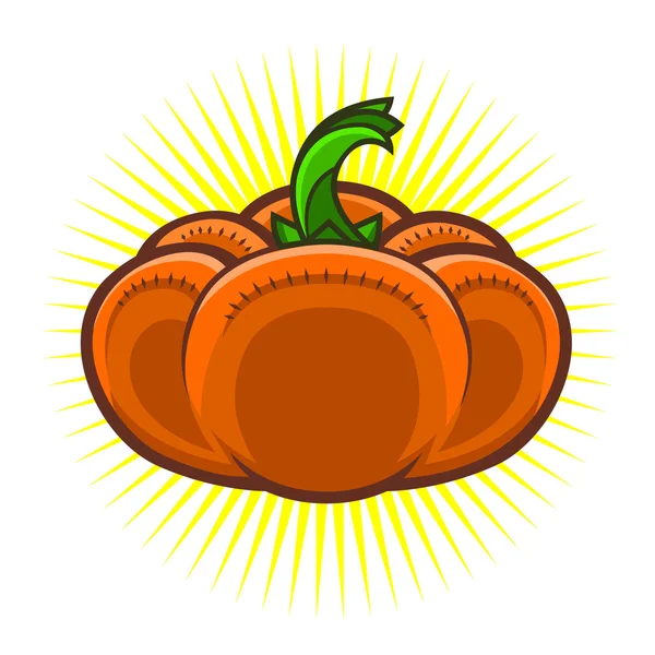Pumpkins isolated on white — Stock Vector