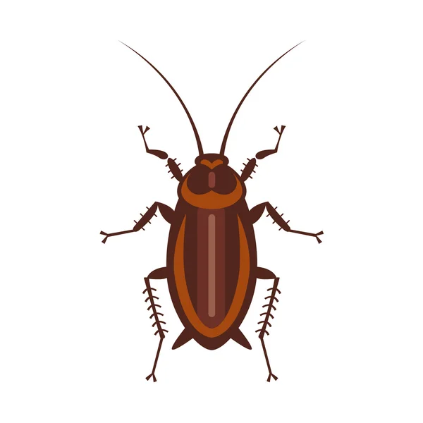 Cockroach in pure style — Stock Vector
