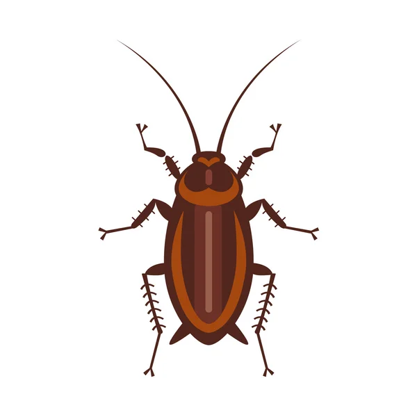 Cucaracha en estilo puro — Vector de stock