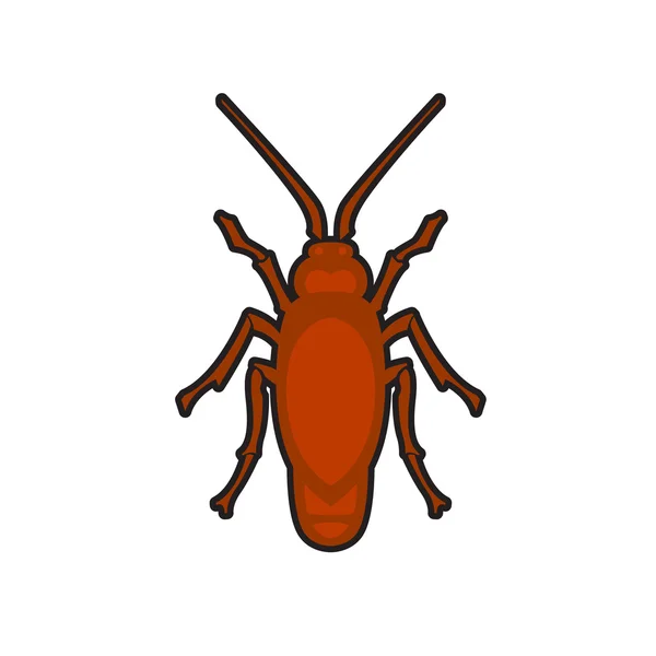 Cockroach in pure style — Stock Vector