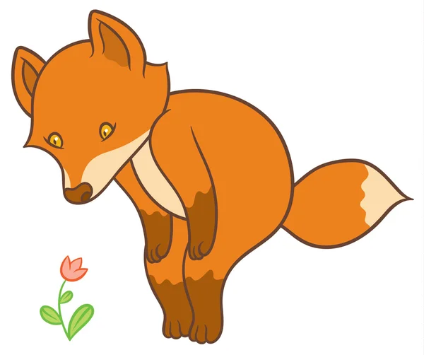 Αλεπού κινουμένων σχεδίων εξετάζει λουλούδι — Διανυσματικό Αρχείο