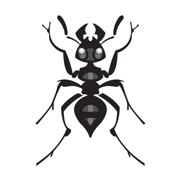 Ant insect illustration — Stock Vector