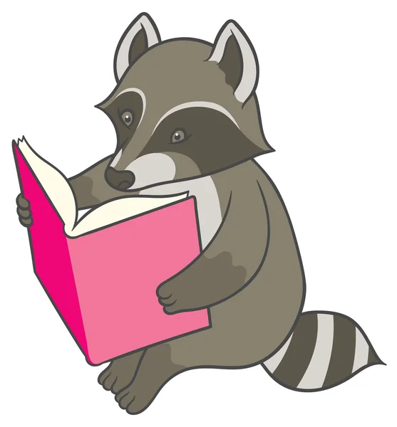 Cartoon raccoon reading a big book — Stock Vector