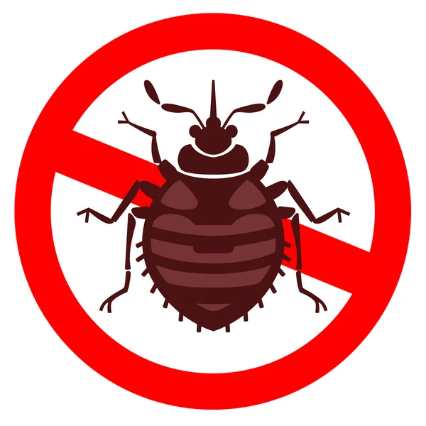 Home bedbug illustration — Stock Vector