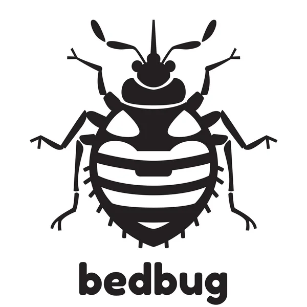 Home bedbug illustration — Stock Vector