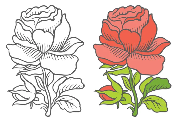 Grafische und farbenfrohe botanische Blume — Stockvektor