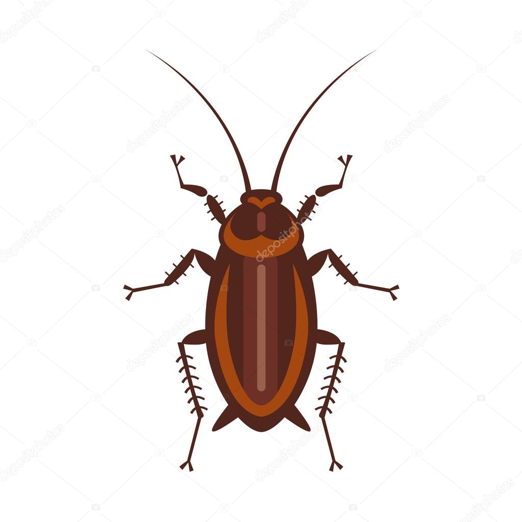 cockroach in pure style