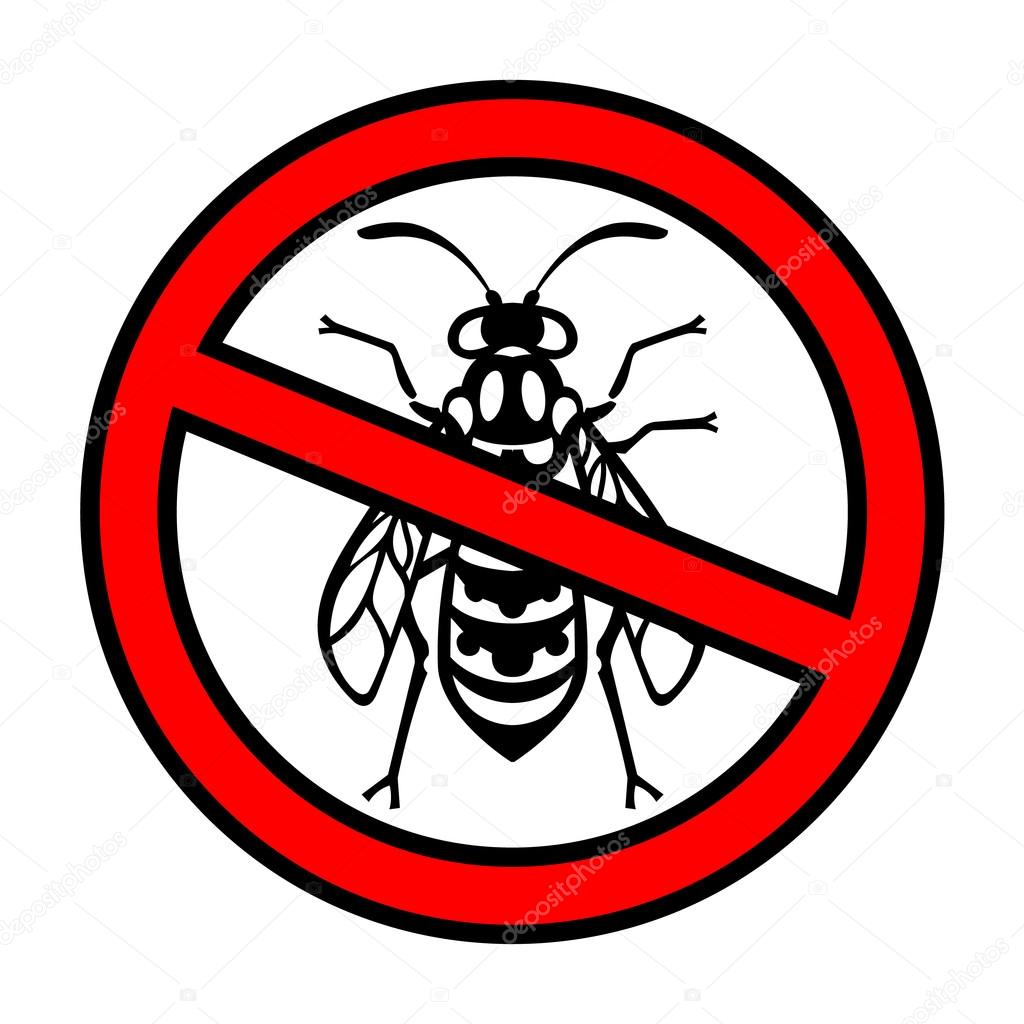 Wasp Bee Hornet illustration