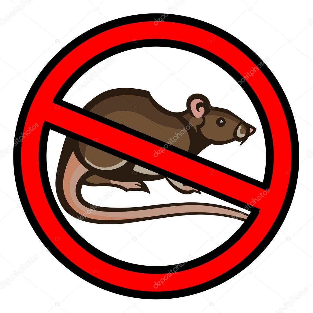 rat pest drawing home parasite