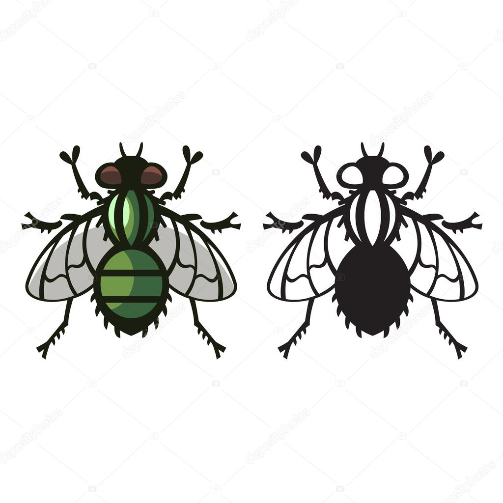 fly parasite illustration