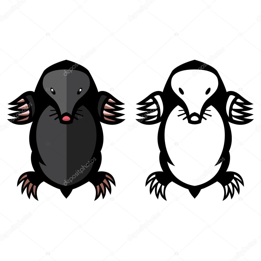mole pest animal illustration