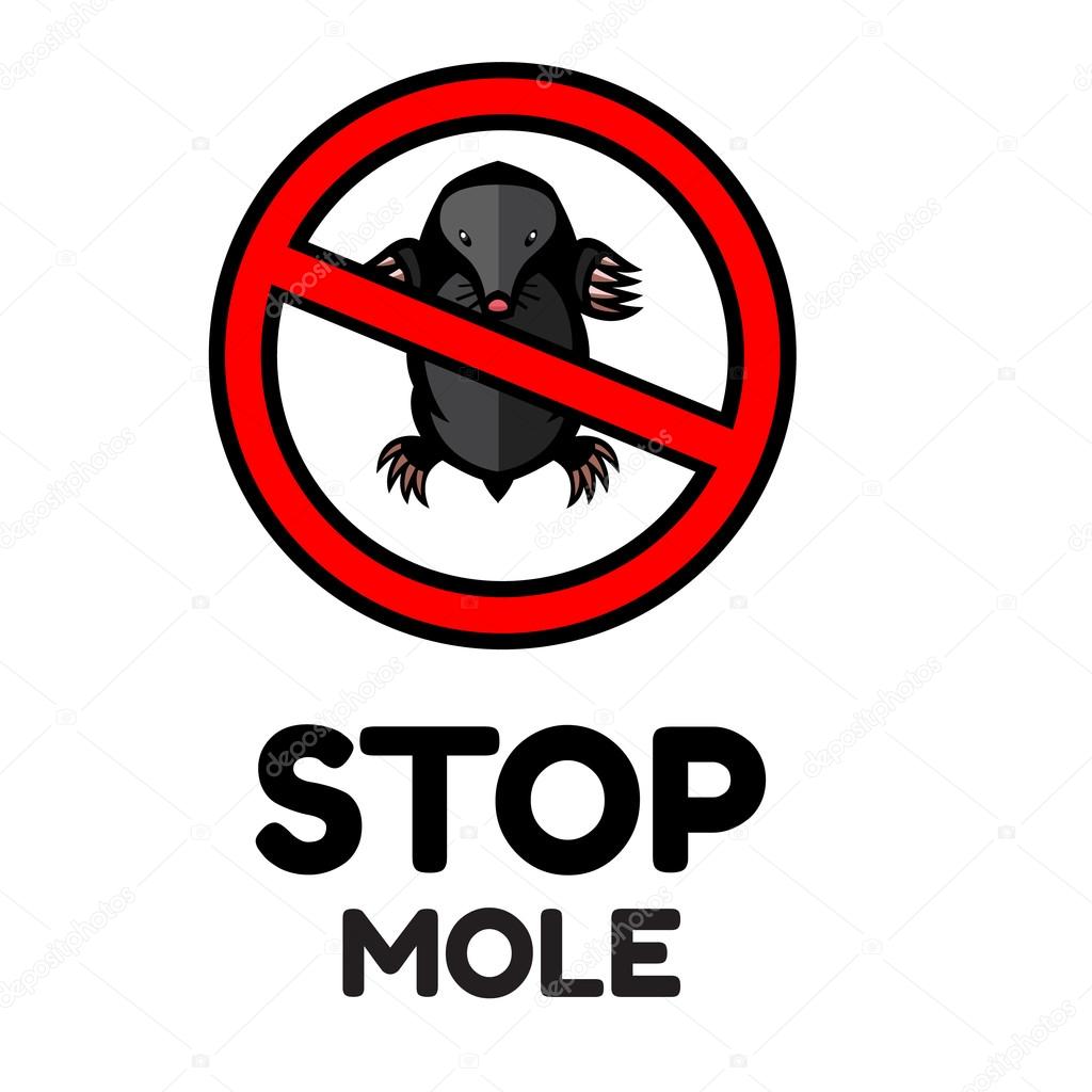 mole pest animal  illustration