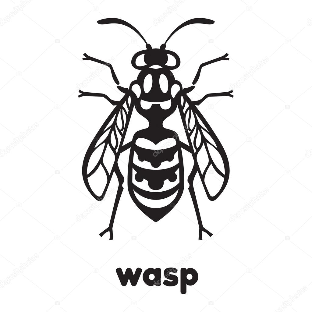 Wasp Bee Hornet vector illustration - set of household pests in pure style