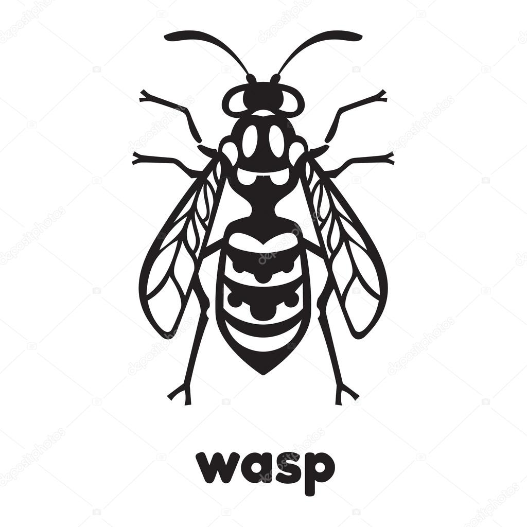 Wasp Bee Hornet illustration